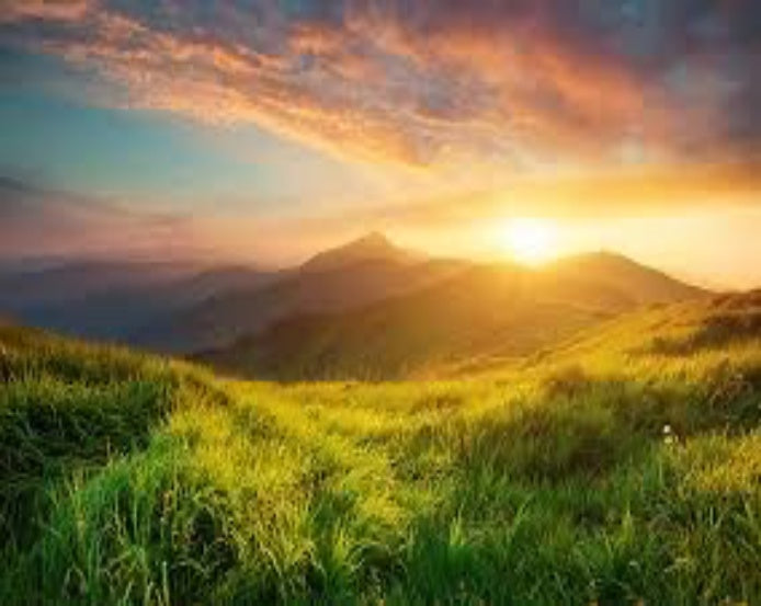 Scenic view Jigsaw Puzzle