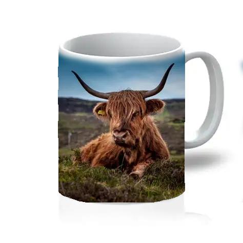 Ceramic Mugs