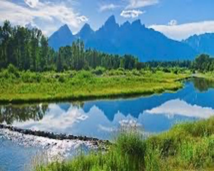 Scenic view Jigsaw Puzzle