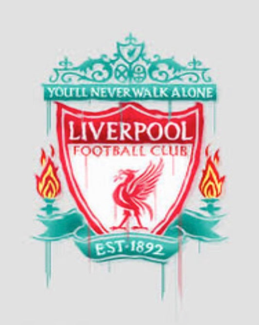 Liverpool Jigsaw Puzzle
